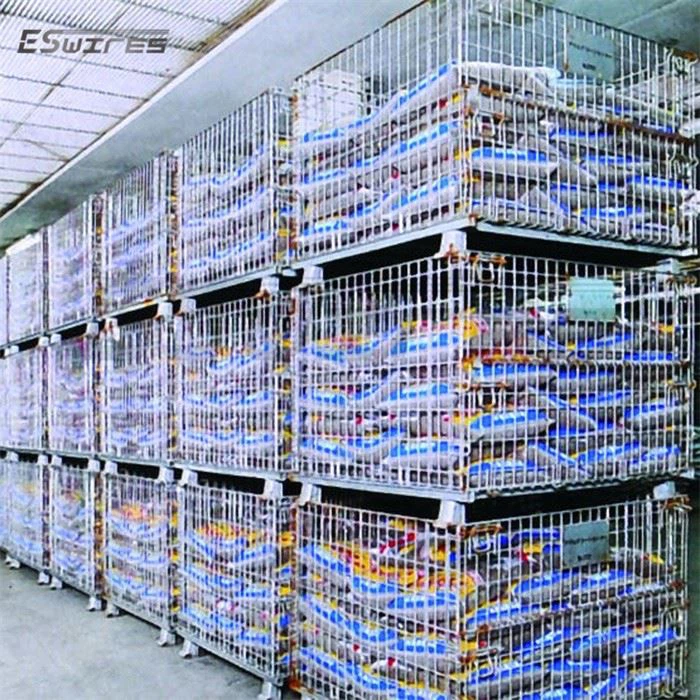 Metal Wire Cage